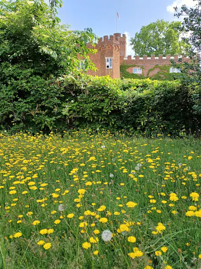 Hertford Castle