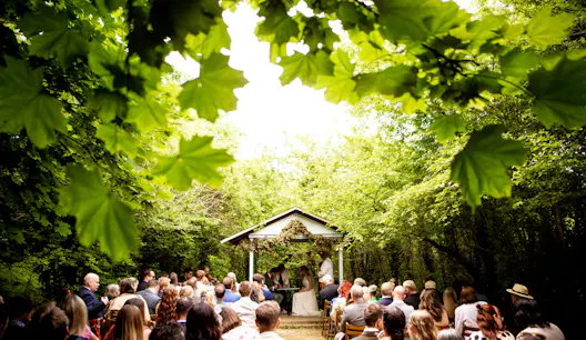 The Glade