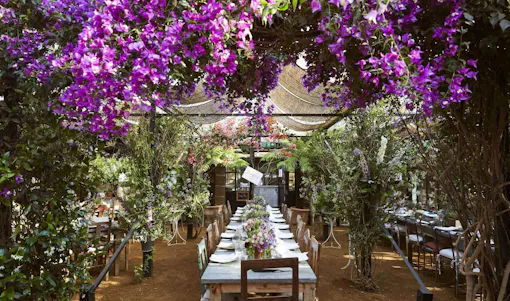 Petersham Nurseries