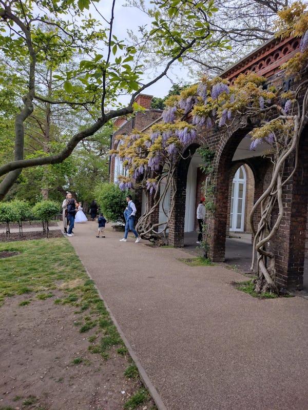 The Orangery at Holland Park