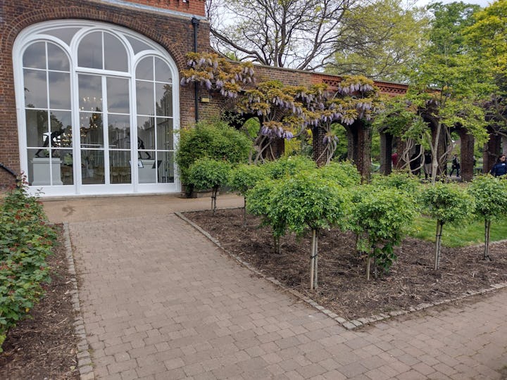 The Orangery at Holland Park