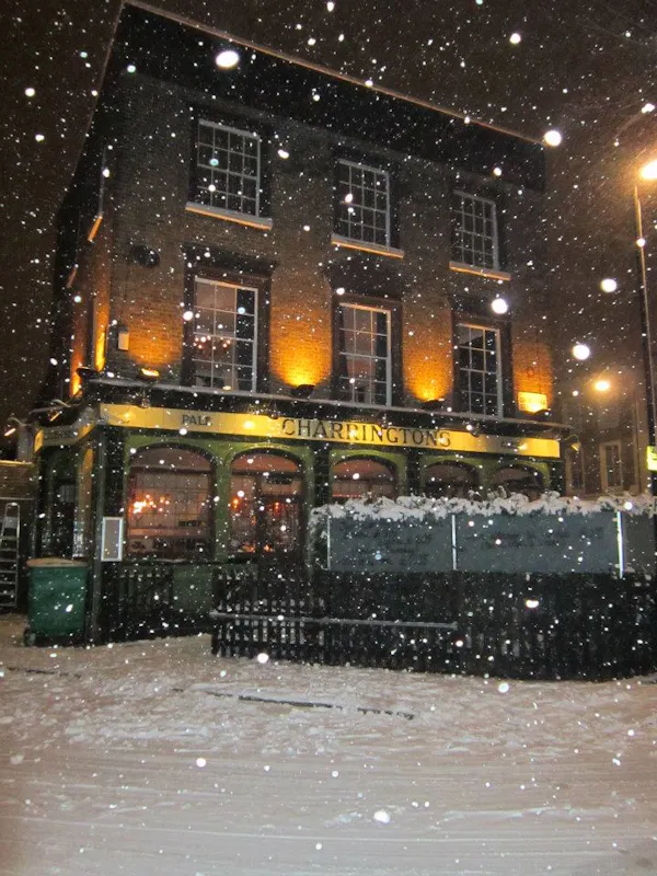 The Prince Albert