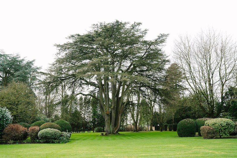 Ansty Hall