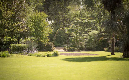 Chelsea Physic Garden