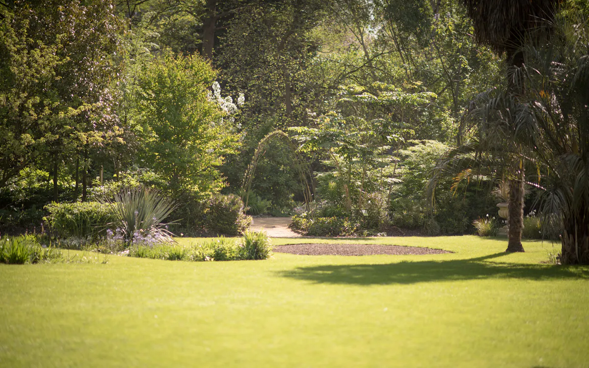 Chelsea Physic Garden